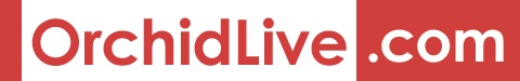 Orchid Live